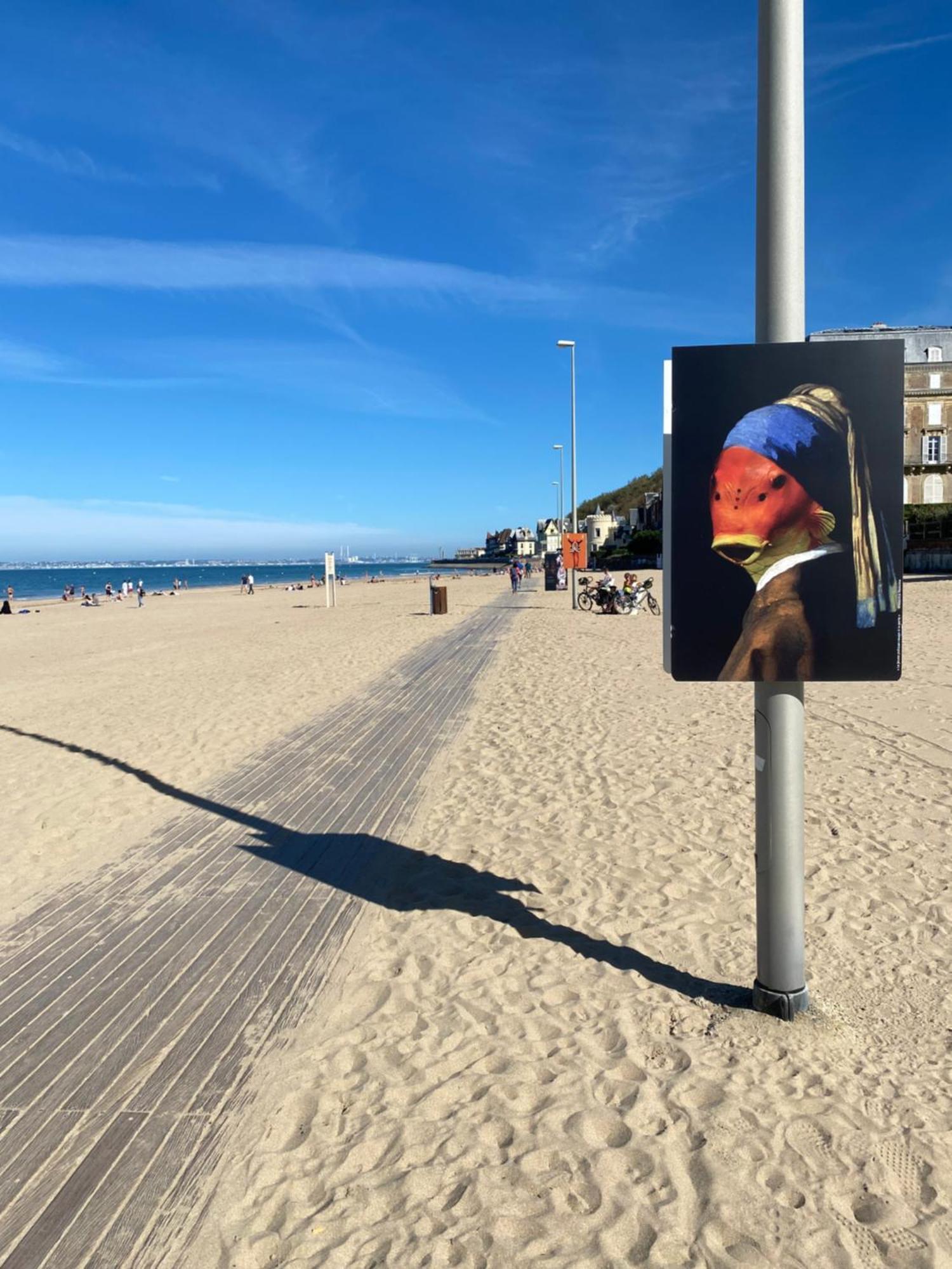Cote Plage - Magnifique Appartement De Charme A Trouville Sur Mer - Linge - Lit Fait - Parking - Wifi - Classe Par L'Office Du Tourisme Экстерьер фото